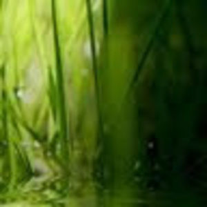 Meet your Posher, Mai